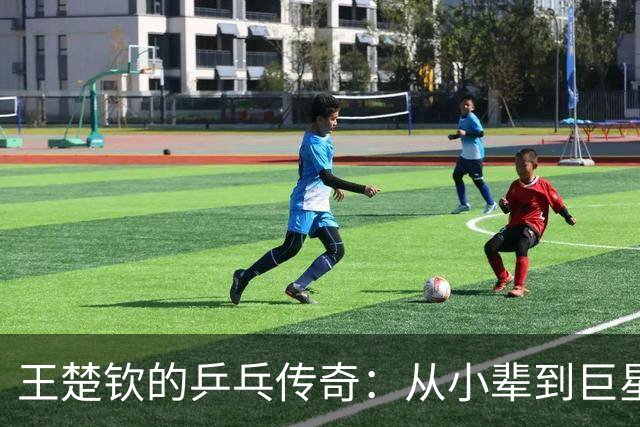 王楚钦的乒乓传奇：从小辈到巨星的喜剧之旅